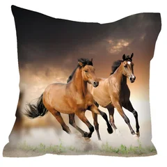  love, любовь, Валентин, Valentine, пара, лошадь, конь